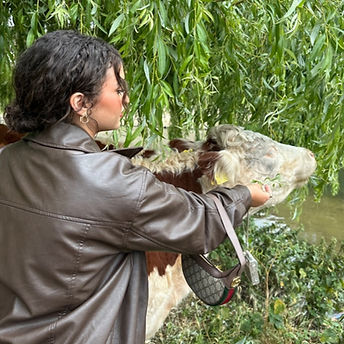 Screenshot 2023-09-22 at 8.14_edited.jpg