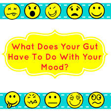 Probiotics for Your Gut and Your Mood