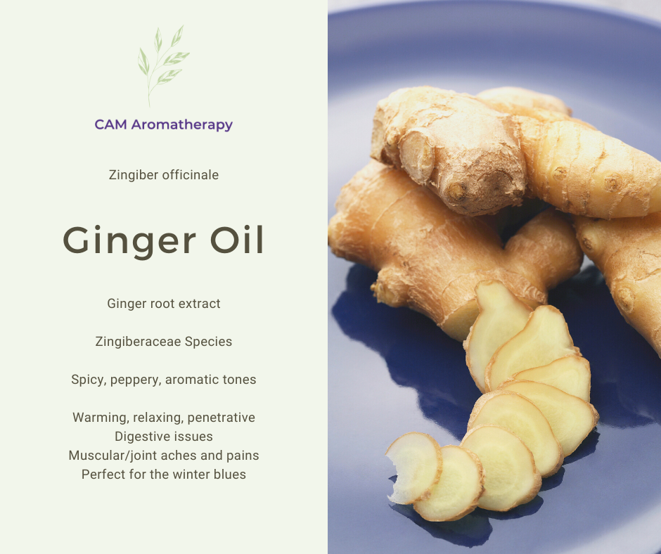 Ginger Essential Oil