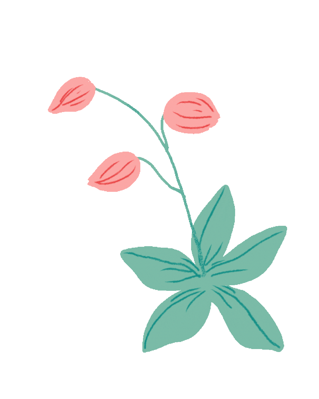 77.gif
