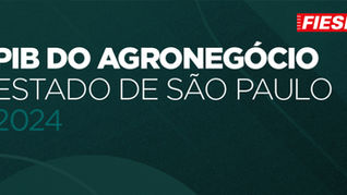 AGRO INDUSTRIA PAULISTA - DADOS DE 2024.