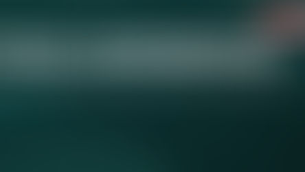 AGRO INDUSTRIA PAULISTA - DADOS DE 2024.