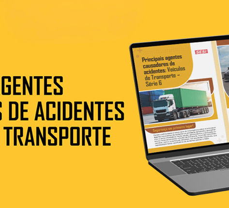 PRINCIPAIS AGENTES DE ACIDENTES COM VEÍCULOS DE TRANSPORTES