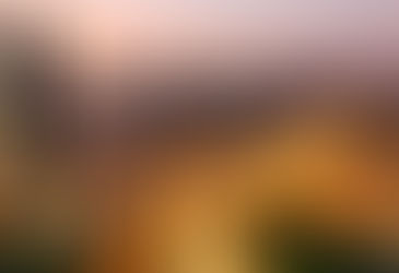 NOVO SISTEMA DE IMPORTAÇÃO DA ARGENTINA