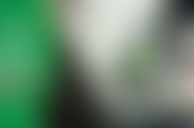 INFORME AMBIENTAL – JULHO 2024