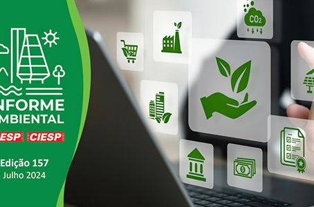 INFORME AMBIENTAL – JULHO 2024