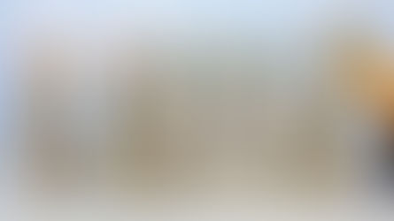 GUIA INFORMATIVO ISO 45001 - SISTEMA DE GESTÃO DE SAÚDE E SEGURANÇA OCUPACIONAL (SGSSO)