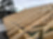 IMG_2188.jpeg