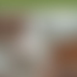 オシャレなカフェをイメージしたサンプルサイトを公開しました。