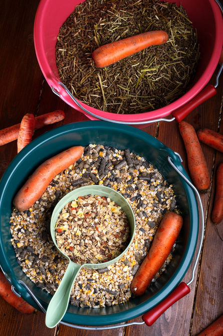 Alimentation Bien Être équin Domaine Hardies Formations Naturopathie