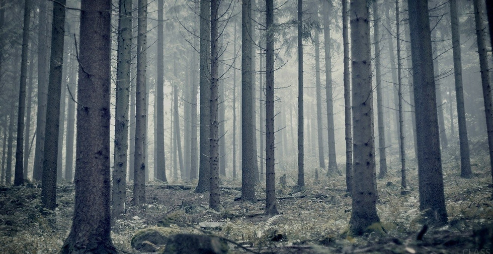 Pine Peaks | Мебель на заказ | Loft Craft | Дизайнерская мебель купить