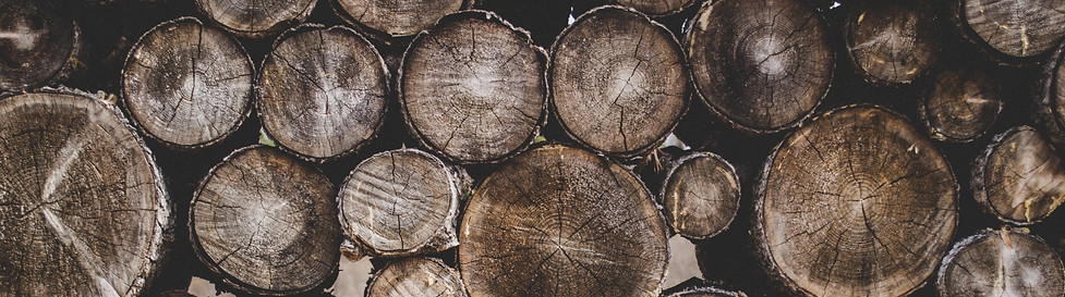 bark-chopped-chopped-wood-cut-firewood-l