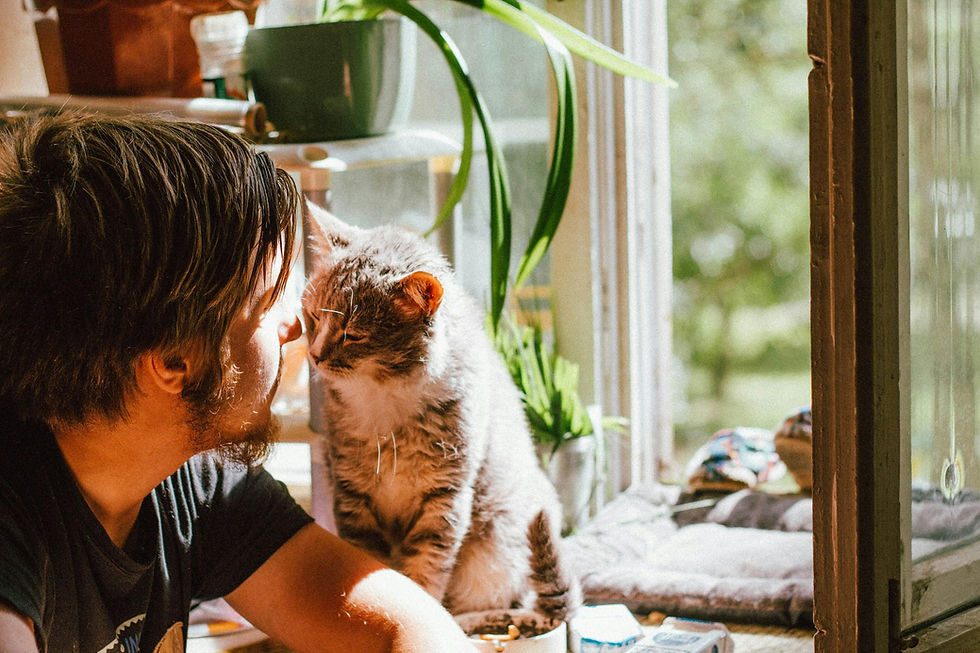 Cat cuddling with owner after getting a vaccination.