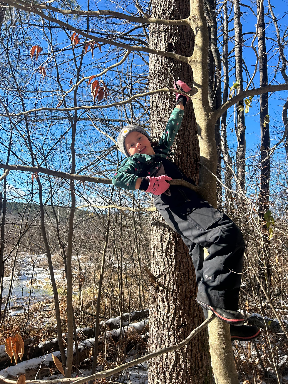 Evie Tree