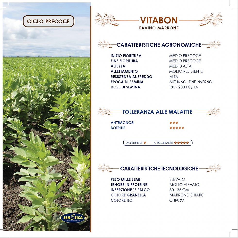 VITABON.png