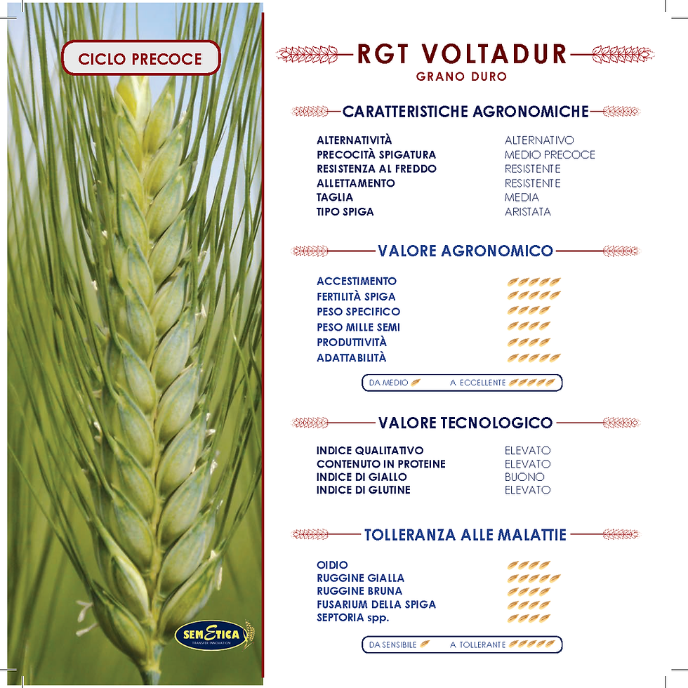 VOLTADUR.png
