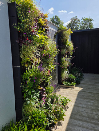 Vertical garden with various plants and flowers, wooden deck, sunny day.