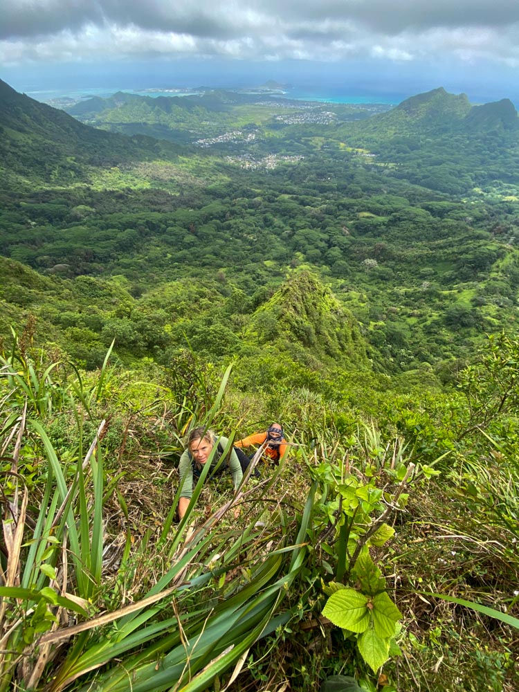 hikers on windward olympus