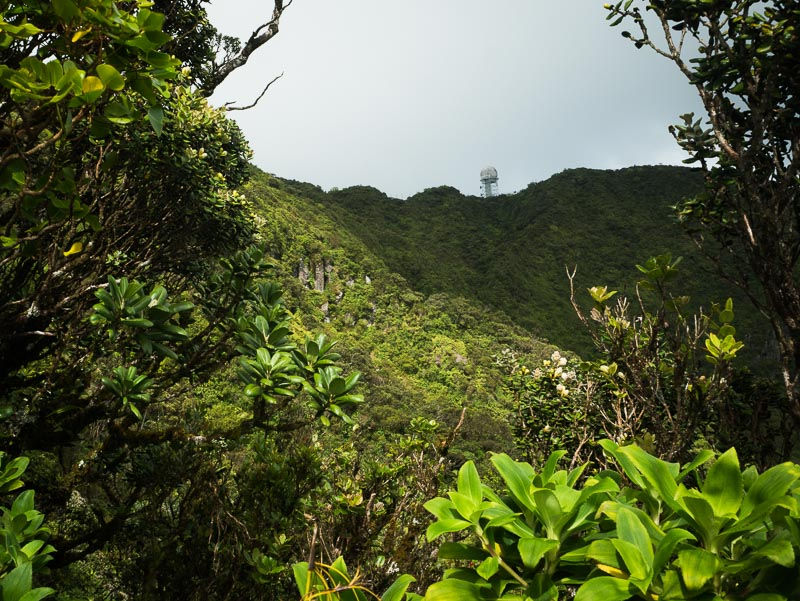 radar station on top of mt Ka'ala