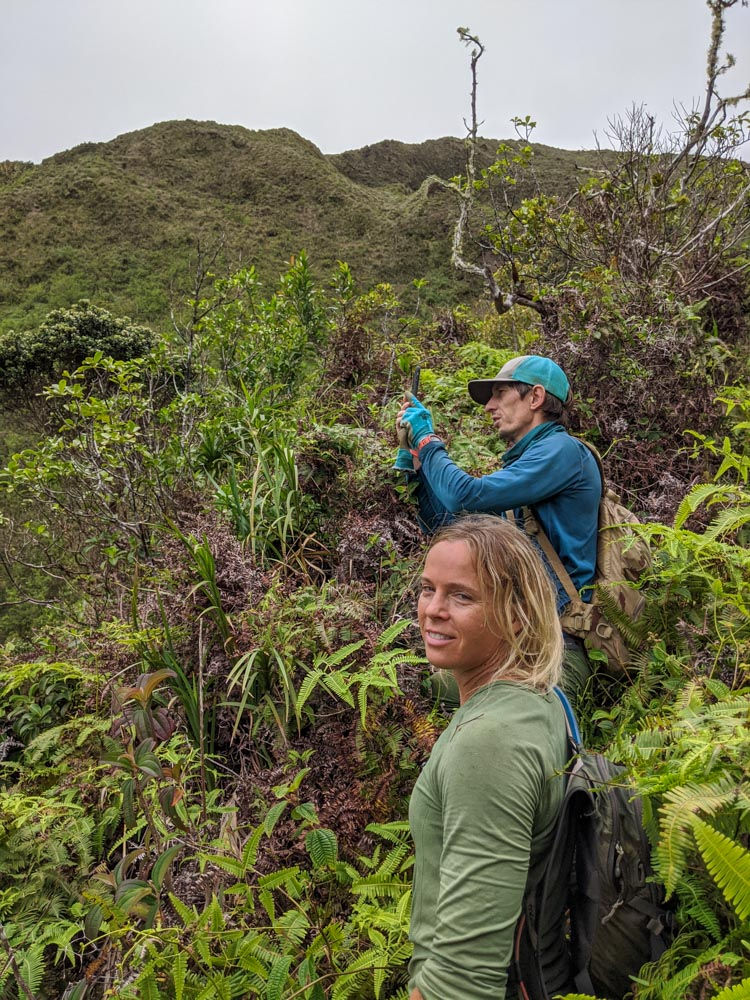hikers on windward olympus