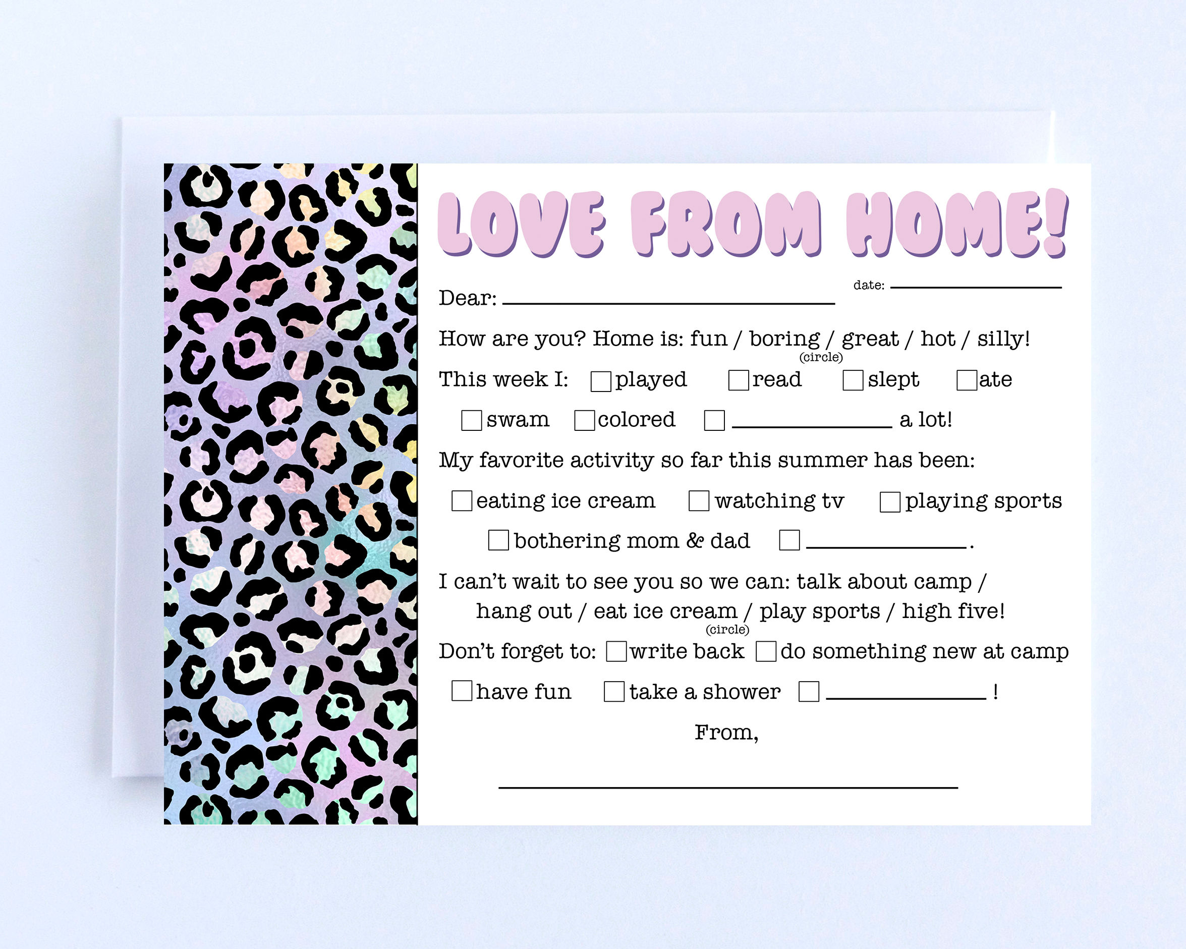 Cheetah Sibling Fill In - Boxed Set of 10