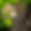 Thumbnail: Spent Substrate