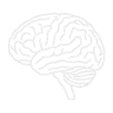 ChatGPT Image Aug 20, 2025, 01_16_21 PM.png