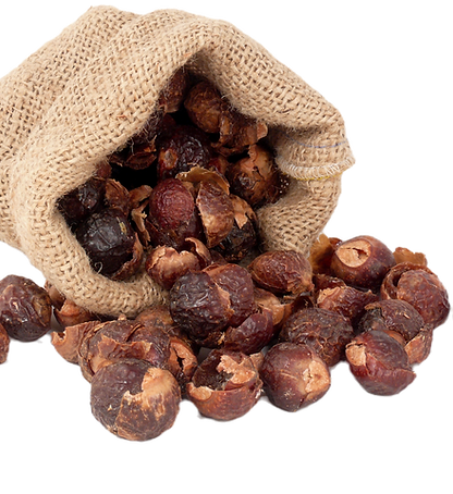 —Pngtree—organic soap nuts in jute_18127