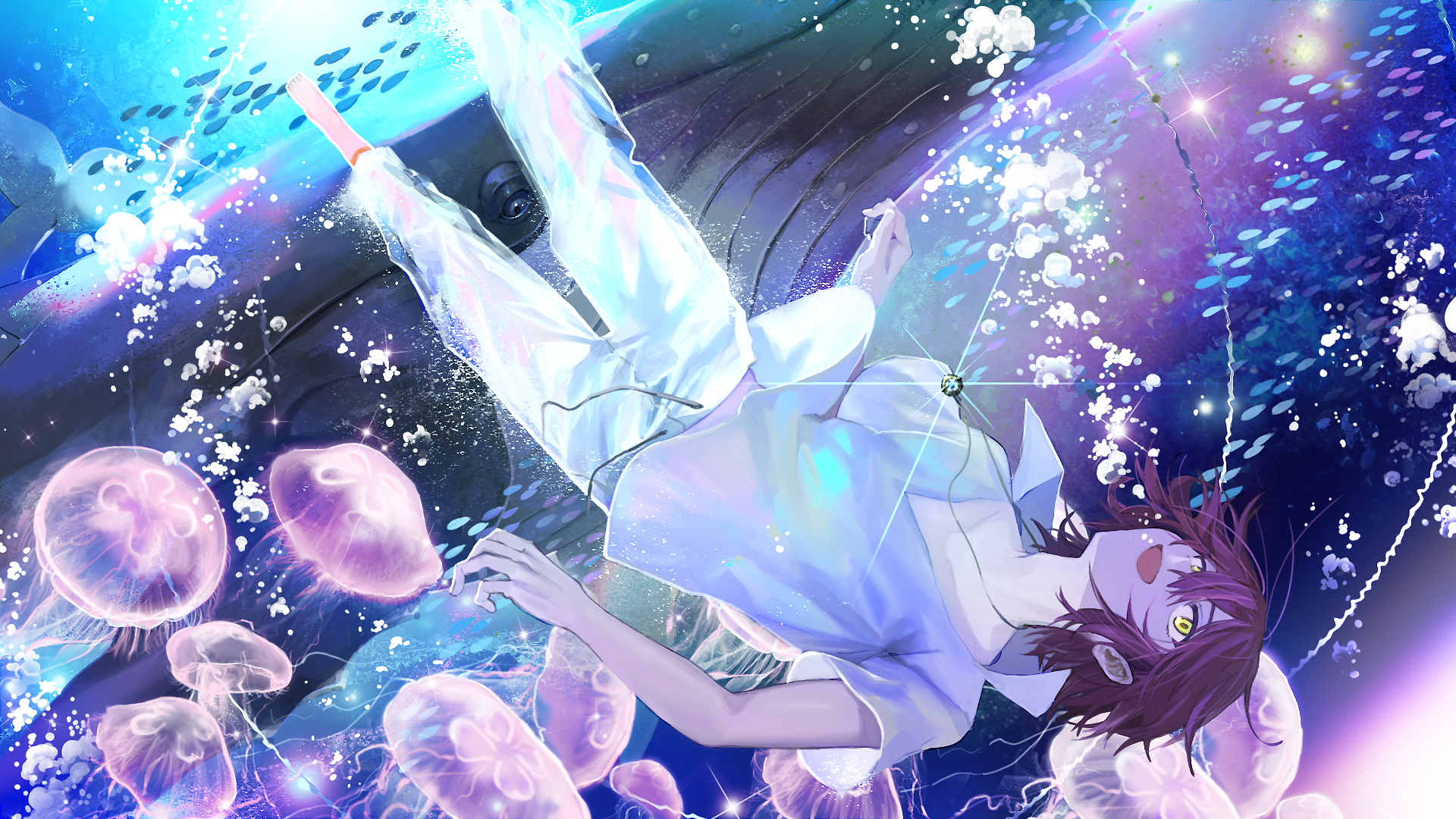 イラスト詳細 Nivisflos