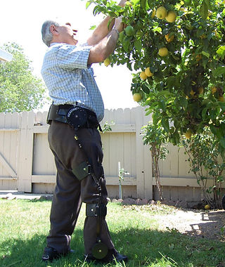 regain the ability to walk after a stroke
