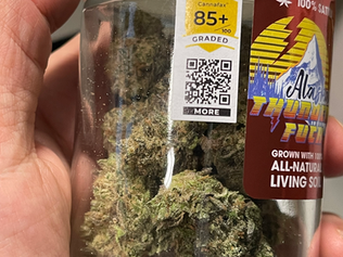 When Bud-tenders Win, Everyone Wins: Equipping Your Best Advocates