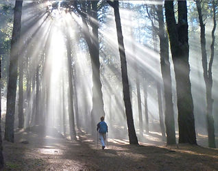 MARCHE CONSCIENTE BORTDEAUX CAUDERAN I AFGHANE I MEDITATION