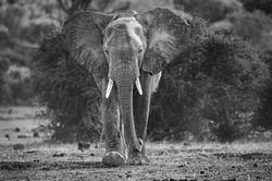 202511_jonresnick-26