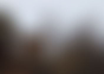 El fantasma amarillo.