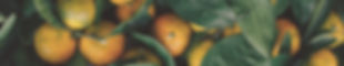 Clementine