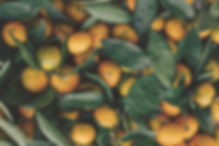 Clementine
