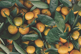 Clementine