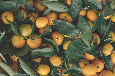 Clementine
