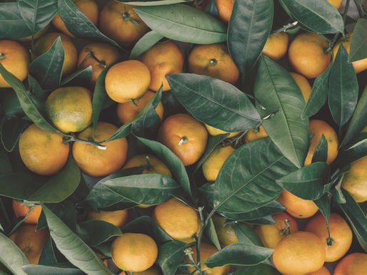 Vamos Olhar para Outra Cadeia? LARANJA