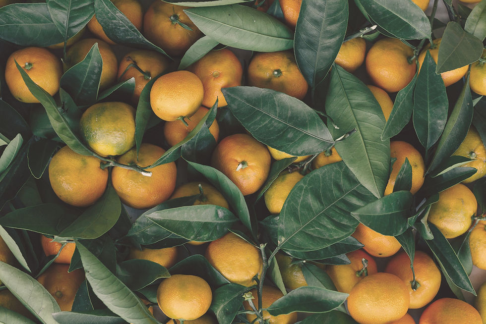 Fresh Oranges Display