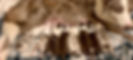 reisen%20pups2020_edited.jpg