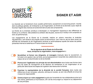 Capture d'écran de la charte de la diversité