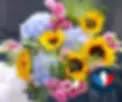 charteRSE (1).webp