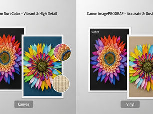 Best Printer for Print Shop: Wide-Format, High-Volume & Commercial Options Compared (2026)