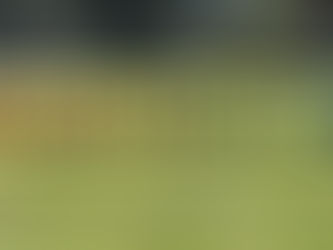 Προμηθέας Χάλκειας και Όμηρος Νεοχωρίου αναδείχθηκαν ισόπαλοι στο χθεσινό αγώνα με σκορ 1-1 και μοιράστηκαν από ένα βαθμό.