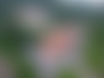 Ιερά Μονή Αγίου Νεκταρίου Τρικόρφου Φωκίδας: Πρόγραμμα Εορτής Παναγίας Παραμυθίας