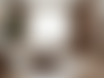 Luxury Cleaning Services for Busy Professionals