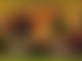 Εορτολόγιο 1 Φεβρουαρίου 2026