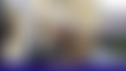 Ιερά Μονή Αγίων Αυγουστίνου και Σεραφείμ Σαρώφ: Με μεγαλοπρέπεια οι μοναχοί τίμησαν την Παναγία την Τρικορφιώτισσα και την ανάμνηση του θαύματος της κατάπαυσης των σεισμών στο Τρίκορφο Φωκίδος