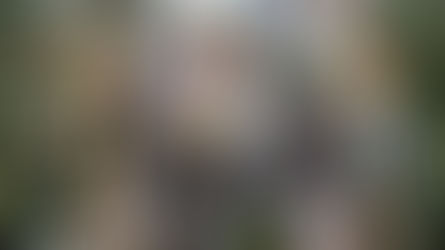 Μητρόπολη Φωκίδας: Λαμπρός εορτασμός των Θεοφανείων